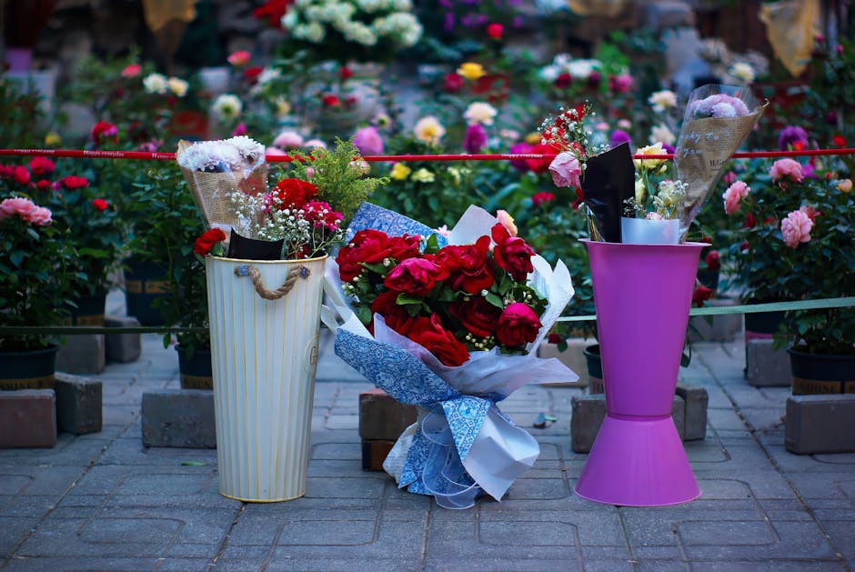 A bouquet of vibrant red roses wrapped in white paper with blue accents, placed on a paved surface between two tall flower vases—one with white and yellow stripes and the other in solid pink. Surrou