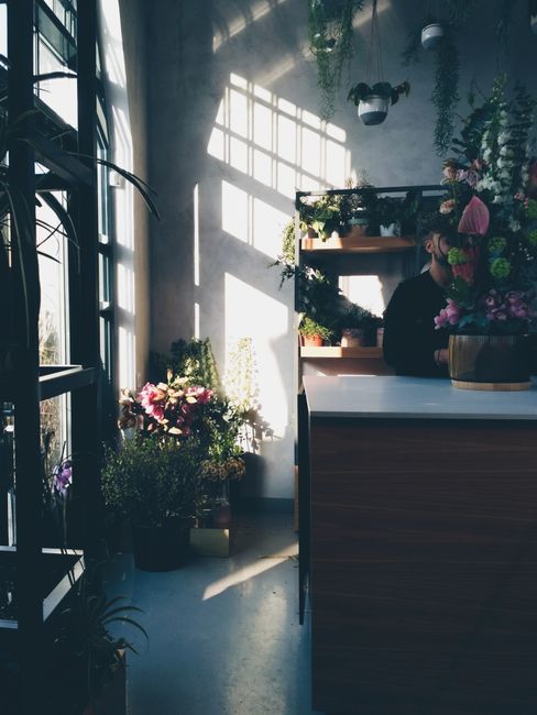 The image depicts the interior of a flower shop with natural sunlight streaming through large windows, casting shadows on the white-washed walls. In the foreground, a hand holds a bouquet of mixed fre