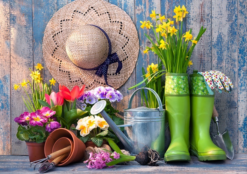 Roses chrysanthemums